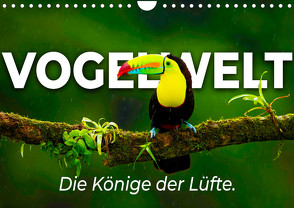 Vogelwelt – Die Könige der Lüfte. (Wandkalender 2024 DIN A4 quer) von Monkey,  Happy