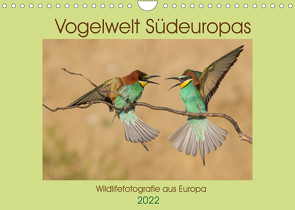 Vogelwelt Südeuropas (Wandkalender 2022 DIN A4 quer) von Jürgens,  Olaf