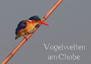 Vogelwelten am Chobe (Posterbuch DIN A2 quer) von Wolf,  Gerald