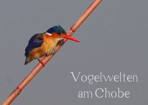 Vogelwelten am Chobe (Tischaufsteller DIN A5 quer) von Wolf,  Gerald