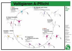 Voltigieren A-Pflicht-Gruppen von Deutsche Reiterliche Vereinigung e.V. (FN), Disziplinbeirat Voltigieren, Lockert,  Ute, Rieder,  Ulrike, Schober,  Nicolai