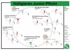 Voltigieren Junior-Pflicht-Gruppen von Deutsche Reiterliche Vereinigung e.V. (FN), Disziplinbeirat Voltigieren, Lockert,  Ute, Rieder,  Ulrike, Schober,  Nicolai