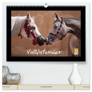 Vollblutaraber (hochwertiger Premium Wandkalender 2024 DIN A2 quer), Kunstdruck in Hochglanz von Tilborghs,  Francis