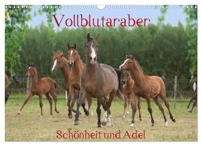 Vollblutaraber – Schönheit und Adel (Wandkalender 2024 DIN A3 quer), CALVENDO Monatskalender von Münzel-Hashish - www.tierphotografie.com,  Angela