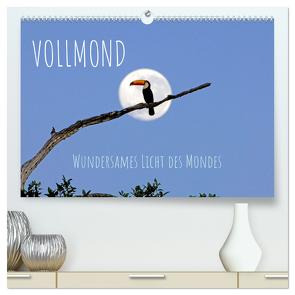 Vollmond: Wundersames Licht des Mondes (hochwertiger Premium Wandkalender 2024 DIN A2 quer), Kunstdruck in Hochglanz von CALVENDO,  CALVENDO