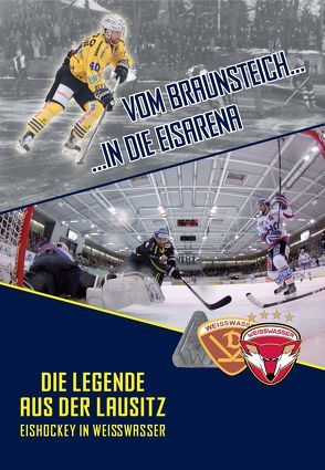 Vom Braunsteich in die Eisarena von Bahrke,  Frank, Hirche,  Klaus, Lehmann,  Steffen