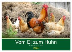 Vom Ei zum Huhn. Die Entwicklung von Küken (Wandkalender 2024 DIN A2 quer), CALVENDO Monatskalender von Hurley,  Rose