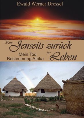 Vom Jenseits zurück ins Leben von Dressel,  Ewald Werner