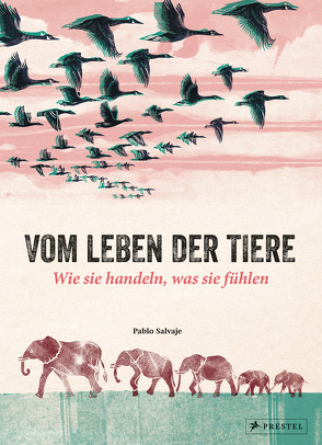 Vom Leben der Tiere. Wie sie handeln, was sie fühlen von Meinel,  Maria, Salvaje,  Pablo