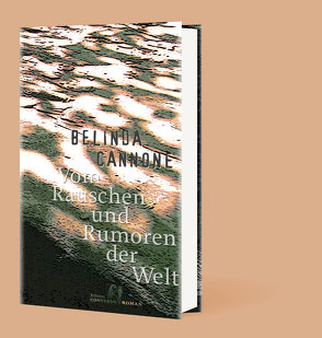 Vom Rauschen und Rumoren der Welt von Cannone,  Belinda, Scheffel,  Tobias, Steinitz,  Claudia