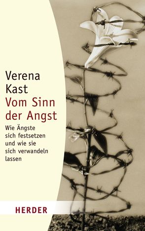 Vom Sinn der Angst von Kast,  Verena