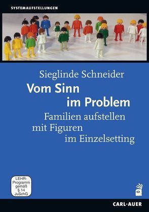 Vom Sinn im Problem von Schneider,  Sieglinde