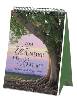 Vom Wunder der Bäume