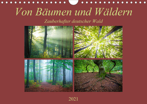 Von Bäumen und Wäldern – Zauberhafter deutscher Wald (Wandkalender 2021 DIN A4 quer) von Wasilewski,  Martin