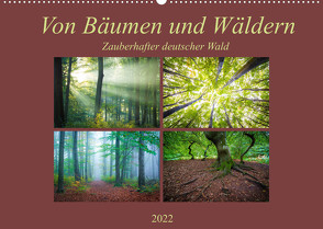 Von Bäumen und Wäldern – Zauberhafter deutscher Wald (Wandkalender 2022 DIN A2 quer) von Wasilewski,  Martin