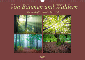 Von Bäumen und Wäldern – Zauberhafter deutscher Wald (Wandkalender 2022 DIN A3 quer) von Wasilewski,  Martin