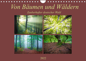 Von Bäumen und Wäldern – Zauberhafter deutscher Wald (Wandkalender 2022 DIN A4 quer) von Wasilewski,  Martin