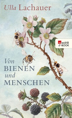 Von Bienen und Menschen von Lachauer,  Ulla