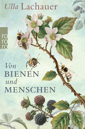 Von Bienen und Menschen von Lachauer,  Ulla