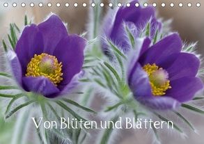 Von Blüten und Blättern (Tischkalender 2018 DIN A5 quer) von von Schlichting,  Siegart