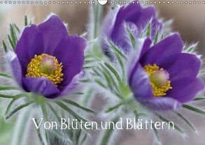 Von Blüten und Blättern (Wandkalender 2018 DIN A3 quer) von von Schlichting,  Siegart