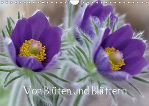 Von Blüten und Blättern (Wandkalender 2018 DIN A4 quer) von von Schlichting,  Siegart