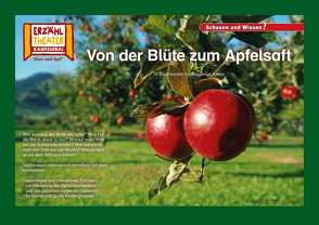 Von der Blüte zum Apfelsaft / Kamishibai Bildkarten von Sangu,  Verena