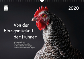 Von der Einzigartigkeit der Hühner 2020 (Wandkalender 2020 DIN A3 quer) von Peters,  Birte