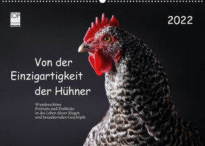 Von der Einzigartigkeit der Hühner 2022 (Wandkalender 2022 DIN A2 quer) von Peters,  Birte