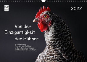 Von der Einzigartigkeit der Hühner 2022 (Wandkalender 2022 DIN A3 quer) von Peters,  Birte