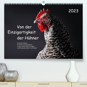 Von der Einzigartigkeit der Hühner 2023 (Premium, hochwertiger DIN A2 Wandkalender 2023, Kunstdruck in Hochglanz) von Peters,  Birte