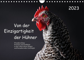 Von der Einzigartigkeit der Hühner 2023 (Wandkalender 2023 DIN A4 quer) von Peters,  Birte