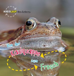 Von der Kaulquappe zum Frosch von de la Bedoyere,  Camilla