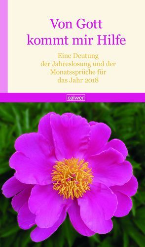 Von Gott kommt mir Hilfe 2018 von Wildermuth,  Bernd