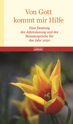 Von Gott kommt mir Hilfe 2020 von Wildermuth,  Bernd
