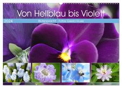 Von Hellblau bis Violett Blütenpracht (Wandkalender 2024 DIN A2 quer), CALVENDO Monatskalender von Kruse,  Gisela