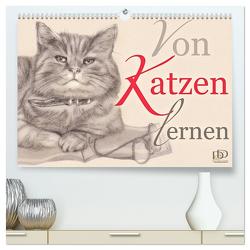 Von Katzen lernen (hochwertiger Premium Wandkalender 2024 DIN A2 quer), Kunstdruck in Hochglanz von Kunst & Design,  Dany's