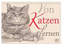 Von Katzen lernen (Tischkalender 2024 DIN A5 quer), CALVENDO Monatskalender von Kunst & Design,  Dany's