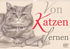 Von Katzen lernen (Wandkalender 2022 DIN A3 quer) von Kunst & Design,  Dany's