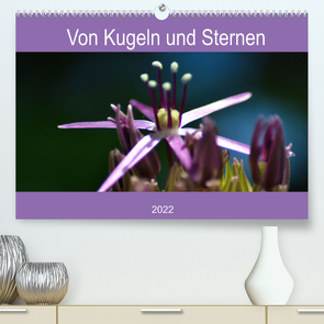 Von Kugeln und Sternen (Premium, hochwertiger DIN A2 Wandkalender 2022, Kunstdruck in Hochglanz) von Kull,  Isabell