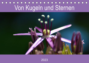 Von Kugeln und Sternen (Tischkalender 2023 DIN A5 quer) von Kull,  Isabell