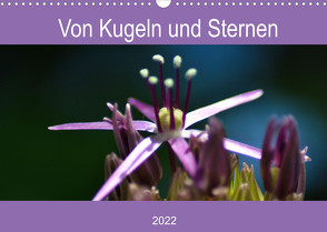 Von Kugeln und Sternen (Wandkalender 2022 DIN A3 quer) von Kull,  Isabell