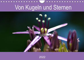 Von Kugeln und Sternen (Wandkalender 2022 DIN A4 quer) von Kull,  Isabell