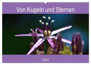 Von Kugeln und Sternen (Wandkalender 2024 DIN A2 quer), CALVENDO Monatskalender von Kull,  Isabell