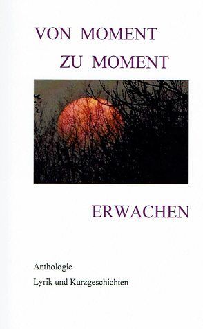 Von Moment zu Moment Erwachen von Becker,  Corinna, Becker,  Julian, Bischof,  Antje, Blaufuß,  Eva-Maria, Bock,  Gislinde, Erpenbeck,  Jenny, Galuhn,  Rüdiger, Löffelmann,  Irmgard, Mai,  Kurt, Markovicova,  Michaela, Mauelshagen,  Dieter, Möller,  Michael, Monika,  Schaffner, Niehr,  Andrea, Pickhardt-Benassa,  Karin, Prochnow,  Erik, Roloff,  Heike, Roloff,  Jannis, Rother,  Gudrun, Semmler,  Helga, Thomas,  Christel, Wenzel,  Ursula