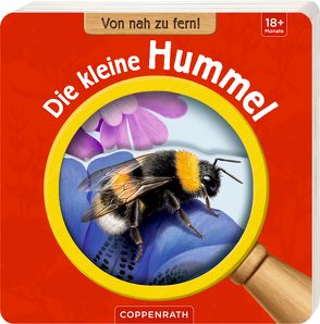 Von nah zu fern! Die kleine Hummel von Koh,  Yousun