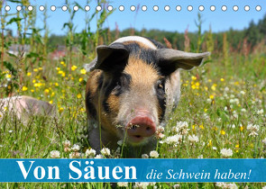 Von Säuen die Schwein haben! (Tischkalender 2022 DIN A5 quer) von Stanzer,  Elisabeth