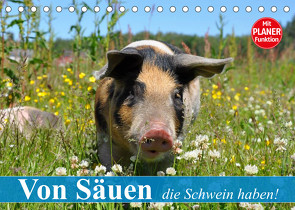 Von Säuen die Schwein haben! (Tischkalender 2023 DIN A5 quer) von Stanzer,  Elisabeth