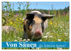 Von Säuen die Schwein haben! (Tischkalender 2024 DIN A5 quer), CALVENDO Monatskalender von Stanzer,  Elisabeth