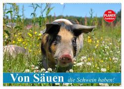 Von Säuen die Schwein haben! (Wandkalender 2024 DIN A2 quer), CALVENDO Monatskalender von Stanzer,  Elisabeth